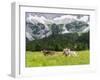 Grazing Cattle, Tyrol, Austria-Martin Zwick-Framed Premium Photographic Print