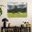 Grazing Cattle, Tyrol, Austria-Martin Zwick-Photographic Print displayed on a wall