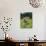 Grazing Cattle, Tyrol, Austria-Martin Zwick-Mounted Photographic Print displayed on a wall