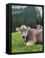 Grazing Cattle, Tyrol, Austria-Martin Zwick-Framed Stretched Canvas