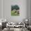 Grazing Cattle, Tyrol, Austria-Martin Zwick-Photographic Print displayed on a wall