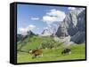 Grazing Cattle, Tyrol, Austria-Martin Zwick-Framed Stretched Canvas