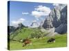 Grazing Cattle, Tyrol, Austria-Martin Zwick-Stretched Canvas