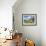 Grazing Cattle, Tyrol, Austria-Martin Zwick-Framed Premium Photographic Print displayed on a wall