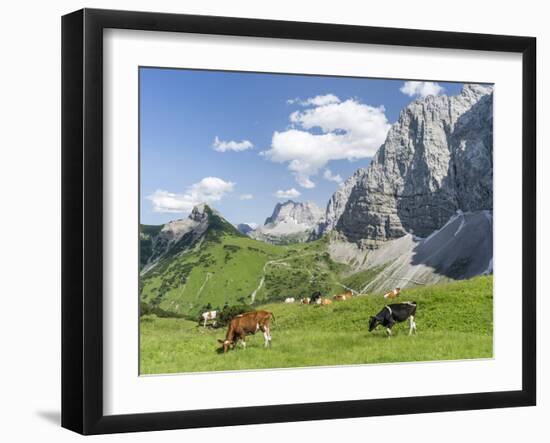 Grazing Cattle, Tyrol, Austria-Martin Zwick-Framed Premium Photographic Print