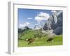 Grazing Cattle, Tyrol, Austria-Martin Zwick-Framed Premium Photographic Print