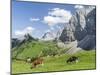 Grazing Cattle, Tyrol, Austria-Martin Zwick-Mounted Premium Photographic Print