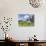 Grazing Cattle, Tyrol, Austria-Martin Zwick-Photographic Print displayed on a wall