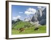 Grazing Cattle, Tyrol, Austria-Martin Zwick-Framed Photographic Print