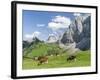 Grazing Cattle, Tyrol, Austria-Martin Zwick-Framed Photographic Print