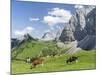 Grazing Cattle, Tyrol, Austria-Martin Zwick-Mounted Photographic Print