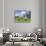 Grazing Cattle, Tyrol, Austria-Martin Zwick-Photographic Print displayed on a wall