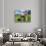 Grazing Cattle, Tyrol, Austria-Martin Zwick-Photographic Print displayed on a wall