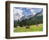 Grazing Cattle, Tyrol, Austria-Martin Zwick-Framed Photographic Print