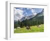 Grazing Cattle, Tyrol, Austria-Martin Zwick-Framed Photographic Print