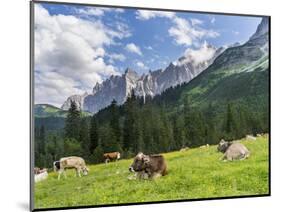 Grazing Cattle, Tyrol, Austria-Martin Zwick-Mounted Photographic Print