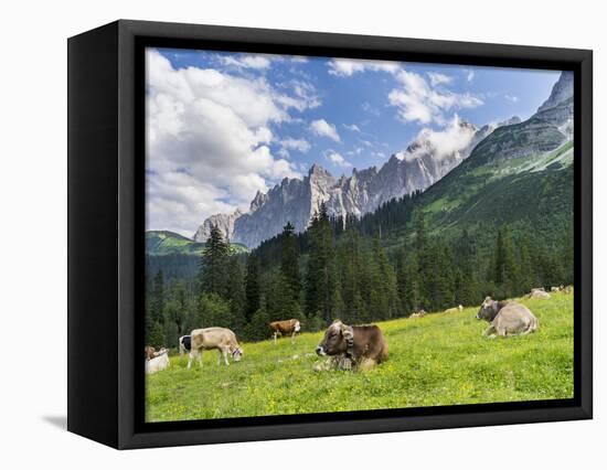 Grazing Cattle, Tyrol, Austria-Martin Zwick-Framed Stretched Canvas