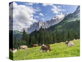 Grazing Cattle, Tyrol, Austria-Martin Zwick-Stretched Canvas