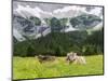 Grazing Cattle, Tyrol, Austria-Martin Zwick-Mounted Photographic Print