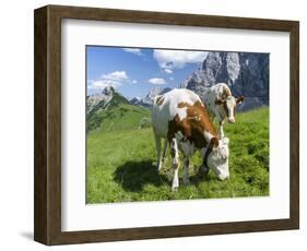 Grazing Cattle, Tyrol, Austria-Martin Zwick-Framed Photographic Print