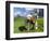 Grazing Cattle, Tyrol, Austria-Martin Zwick-Framed Photographic Print