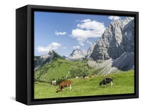 Grazing Cattle, Tyrol, Austria-Martin Zwick-Framed Stretched Canvas