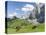 Grazing Cattle, Tyrol, Austria-Martin Zwick-Stretched Canvas