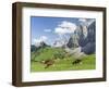 Grazing Cattle, Tyrol, Austria-Martin Zwick-Framed Photographic Print