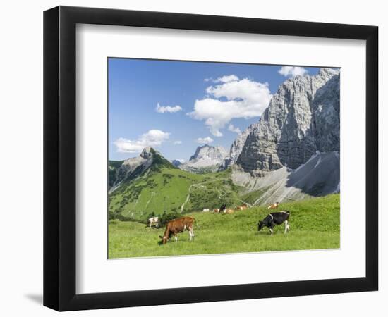 Grazing Cattle, Tyrol, Austria-Martin Zwick-Framed Photographic Print