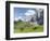 Grazing Cattle, Tyrol, Austria-Martin Zwick-Framed Photographic Print