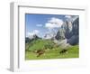 Grazing Cattle, Tyrol, Austria-Martin Zwick-Framed Photographic Print