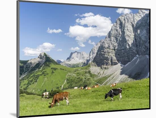 Grazing Cattle, Tyrol, Austria-Martin Zwick-Mounted Photographic Print