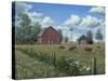 Grazing Cattle-Robert Wavra-Stretched Canvas