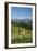 Grazing Cows, Emmental Valley and Swiss Alps in the Background, Berner Oberland, Switzerland-Jon Arnold-Framed Photographic Print