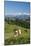 Grazing Cows, Emmental Valley and Swiss Alps in the Background, Berner Oberland, Switzerland-Jon Arnold-Mounted Photographic Print