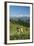 Grazing Cows, Emmental Valley and Swiss Alps in the Background, Berner Oberland, Switzerland-Jon Arnold-Framed Photographic Print