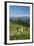 Grazing Cows, Emmental Valley and Swiss Alps in the Background, Berner Oberland, Switzerland-Jon Arnold-Framed Photographic Print