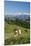 Grazing Cows, Emmental Valley and Swiss Alps in the Background, Berner Oberland, Switzerland-Jon Arnold-Mounted Photographic Print