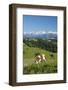 Grazing Cows, Emmental Valley and Swiss Alps in the Background, Berner Oberland, Switzerland-Jon Arnold-Framed Photographic Print