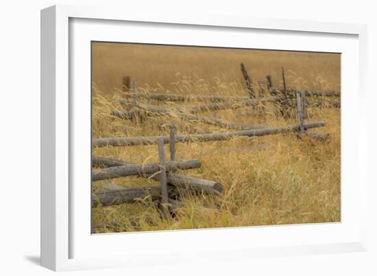 Grazing Fence-Dan Ballard-Framed Photographic Print