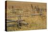 Grazing Fence-Dan Ballard-Stretched Canvas