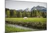 Grazing Horse in Pasture in Bavarian Alps with Snow-Sheila Haddad-Mounted Photographic Print