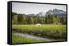 Grazing Horse in Pasture in Bavarian Alps with Snow-Sheila Haddad-Framed Stretched Canvas