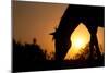 Grazing Horse Silhouette Against Rising Sun In Rich Tone-Sari ONeal-Mounted Photographic Print