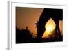 Grazing Horse Silhouette Against Rising Sun In Rich Tone-Sari ONeal-Framed Photographic Print