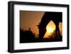 Grazing Horse Silhouette Against Rising Sun In Rich Tone-Sari ONeal-Framed Photographic Print