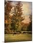 Grazing in Autumn-Jai Johnson-Mounted Giclee Print