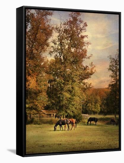 Grazing in Autumn-Jai Johnson-Framed Stretched Canvas