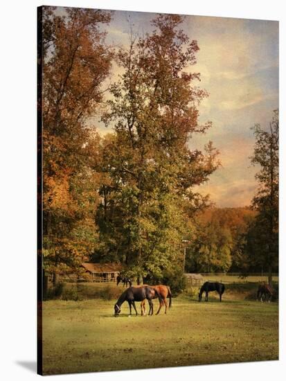 Grazing in Autumn-Jai Johnson-Stretched Canvas