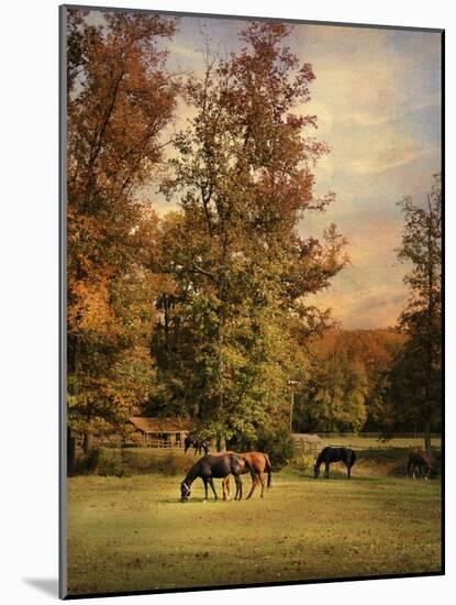 Grazing in Autumn-Jai Johnson-Mounted Giclee Print